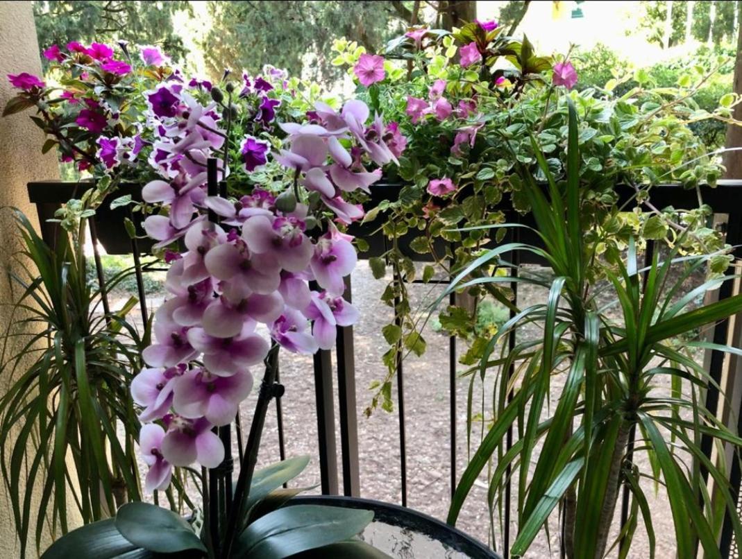 Residence Villa Alba Room Nr 221 Gardone Riviera Εξωτερικό φωτογραφία